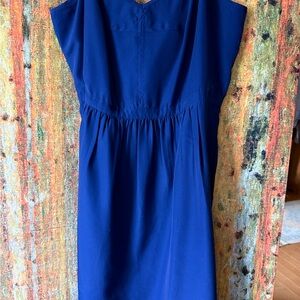 J. Crew Blue Mini Dress